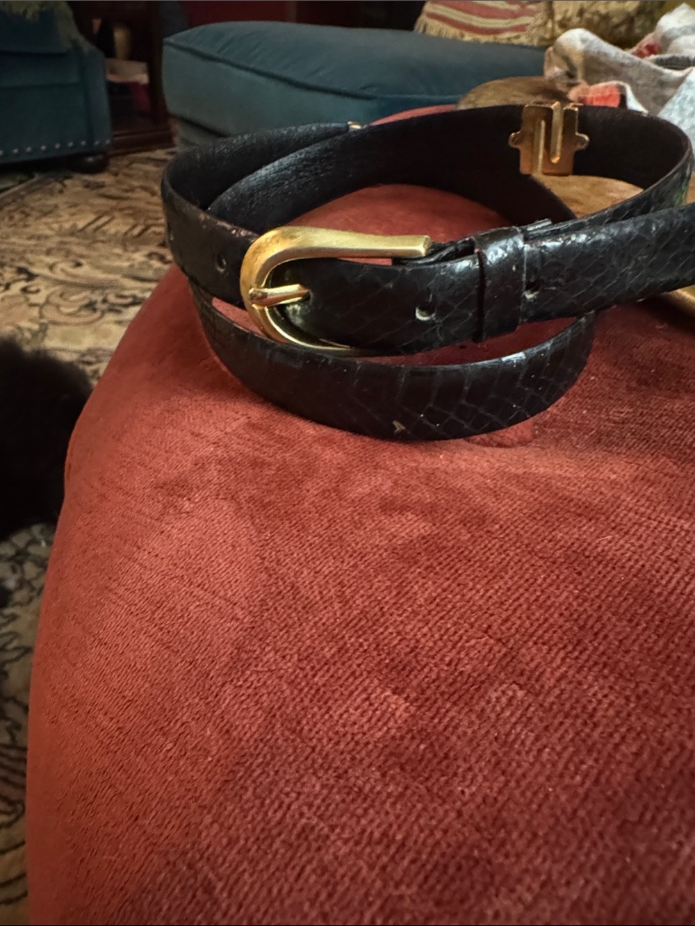 Source Unknown Black Genuine Snake Skin Belt with Gold-Tone Curved Buckle